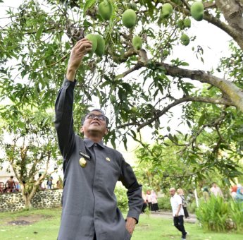 Nurdin Abdullah, Gubernur yang Hobi Berkebun
