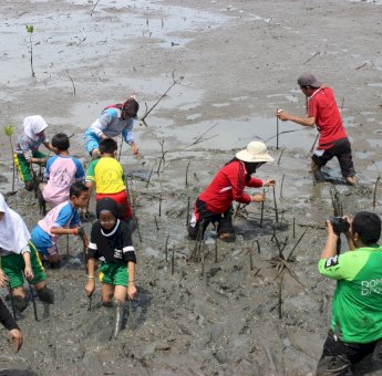 Dompet Dhuafa Sulsel dan Ekskul Dokcil KKR Tanam 150 Pohon Mangrove