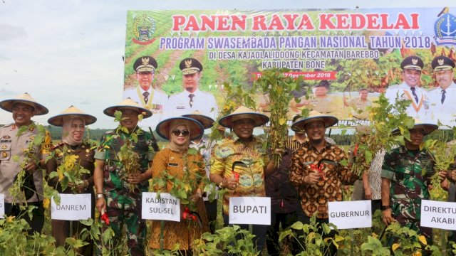 Panen Raya kedelai di Desa Kajaoliddong, Kecamatan Barebbo, Kabupaten Bone, Kamis (27/12/2018).