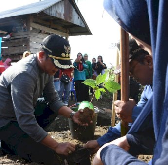 Tiga Tahun Kepemimpinan Andi Kaswadi Razak, Pemda Soppeng Tanam 3.000 Pohon
