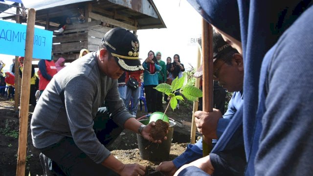 Bupati Soppeng, Andi Kaswadi Razak menanam pohon dalam memperingati 3 tahun kepemimpinannya, Jumat (15/02/2019).