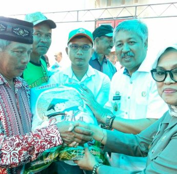 Pemprov Sulsel Salurkan 10 Ton Bibit Pertanian untuk Korban Banjir di Pinrang