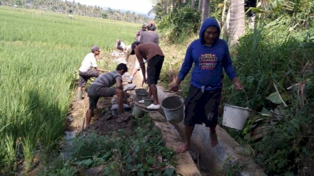 Warga Desa Congko, Kecamatan Marioriwawo, Kabupaten Soppeng, bekerja membenagi saluran air, Rabu (31/07/2019).