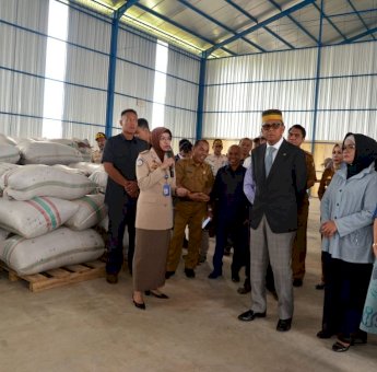 Ekspor Rumput Laut di Sulsel Capai 125 Ton Perbulan, NA: Petani Sudah Bisa Beli Mobil