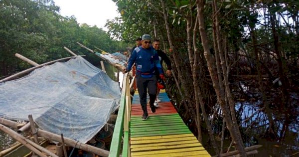 Iqbal Suhaeb Akan Upayakan Dana CSR Untuk Kembangkan Kawasan Mangrove di Makassar