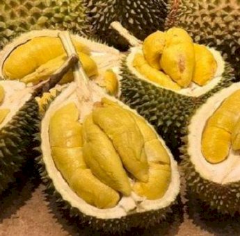 Bahaya, Ini Dia Makanan yang Tidak Boleh Konsumsi Bersama Durian