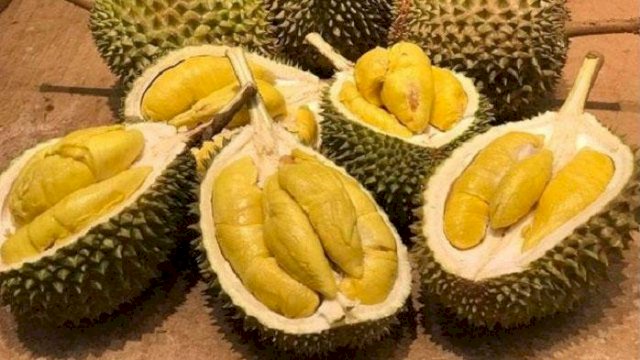 Ilustrasi Durian