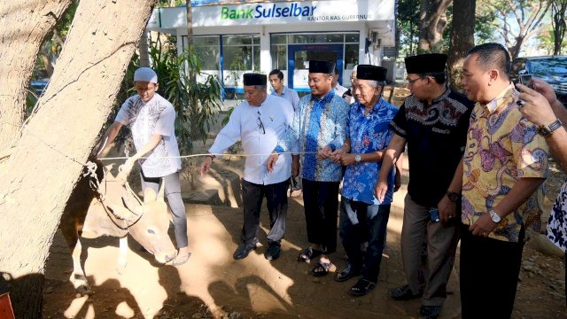 Wakil Gubernur Sulsel Andi Sudirman Sulaiman menyerahkan secara simbolis sapi kurban, di Masjid Nurul Amir, Kompleks Kantor Gubernur Sulsel, Jumat (09/08/2019).