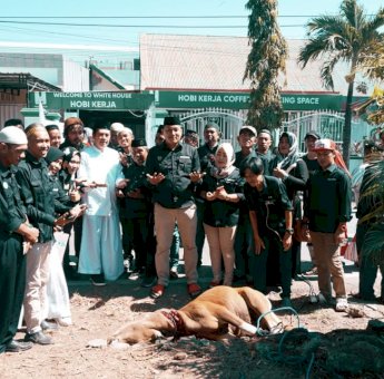 Disaksikan Deng Ical, Komunitas Pakase’re Sembelih 6 Ekor Sapi dan 3 Ekor Kambing