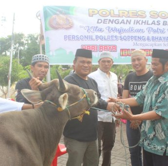Polres Soppeng Kurban 5 Ekor Sapi dan 1 Ekor Kambing