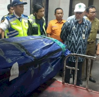 24 Warga Sulsel Meninggal dan 1.300 Mengungsi, Gubernur NA: Wamena Sudah Mulai Kondusif