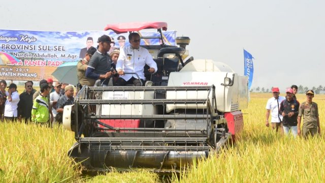 Ribuan Rakyat dan Bupati Pinrang Saksikan Nurdin Abdullah Panen Raya Padi