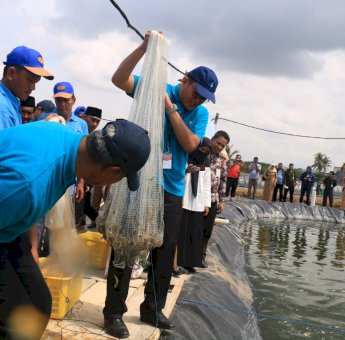 Ini Alasan BI Pilih Pangkep Jadi Pilot Project Pengembangan Udang Vaname
