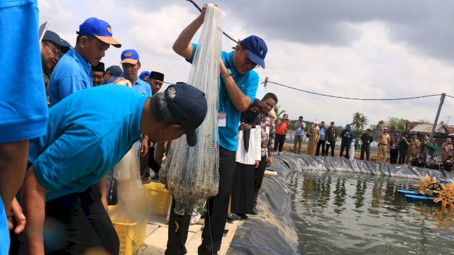 Ini Alasan BI Pilih Pangkep Jadi Pilot Project Pengembangan Udang Vaname