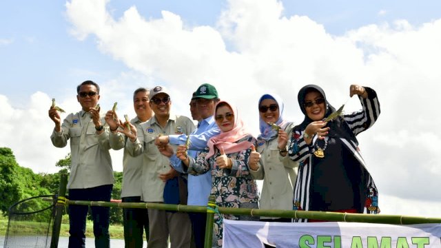 Gubernur Sulsel Prof. Nurdin Abdullah bersama Istrinya, Bupati pinran Andi Irwan Hamid juga bersama Istrinya dan Anggota DPRD Sulsel Andi Azizah Irma Irawan melakukan panen udang windu, Kamis (26/12/2019).