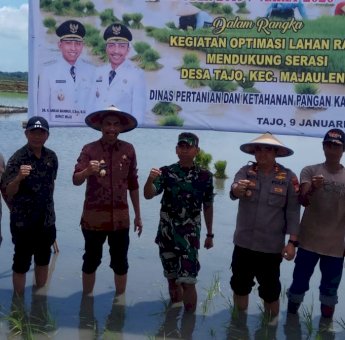 Wakil Bupati Wajo dan Forkopimda Kompak Tanam Padi, Ini yang Diharapkan untuk Petani