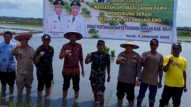 Wakil Bupati Wajo dan Forkopimda Kompak Tanam Padi, Ini yang Diharapkan untuk Petani