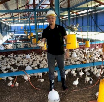 Budidaya Ayam dan Bebek Organik Terbesar di Sulsel