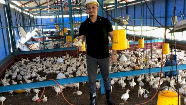 Hasan Basri memperlihatkan ayam yang ia budidayakan di salah satu kandangnya, Jumat (31/01/2020).