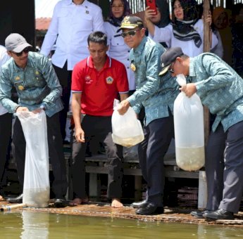 Lepas Bibit Ikan, Nurdin Abdullah Ajak Warga Wajo Jaga Danau Tempe