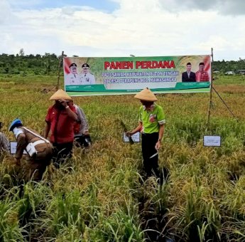 La Ramo: Kita Siapkan Rp 3,9 Miliar untuk Pembuatan Irigasi Sawah di Kaleleha