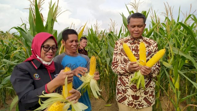 Kembangkan Sektor Pertanian, Gubernur Sulsel Rencana Datangkan Investor Jepang