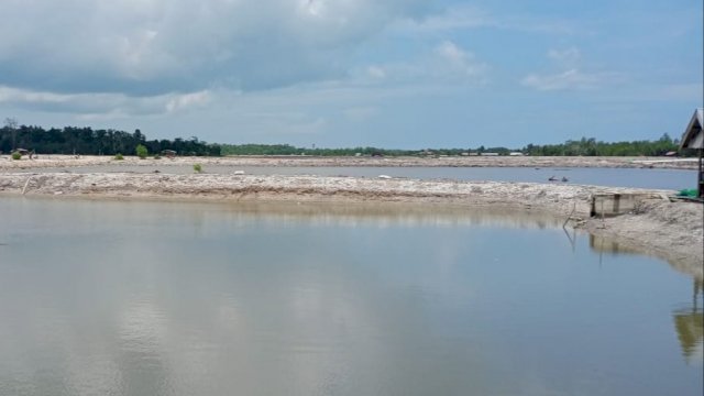 Tambak Ikan dan Udang di Desa Tanailandu, Kecamatan Mawasangka.