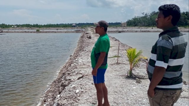 Kepala Desa Tanailandu, Rafiudin, meninjau tambak milik warga.