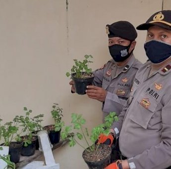 Manfaatkan Pekarangan Rumah, Anggota Polsek Mastim Budidaya Ikan Lele dan Sayur