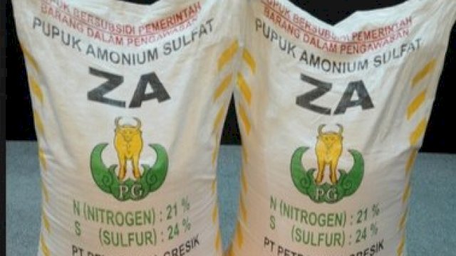 Pupuk Amonium Sulfat.