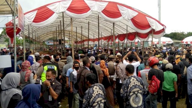 Kunjungan Menteri Pertanian (Mentan) Syahrul Yasin Limpo (SYL), di Lapangan Sinjai Bersatu, Kamis (30/07/2020).