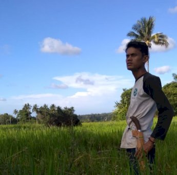 TPHP Sinjai Klaim Hasil Panen Meningkat, Petani: Sebenarnya Sawah Kami Terancam Gagal Panen