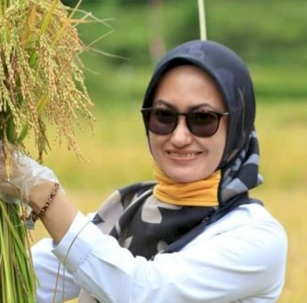 Tetap Surplus Saat Pandemi, Bupati Indah Harap Pertanian Kembali Bangkit Pasca Banjir