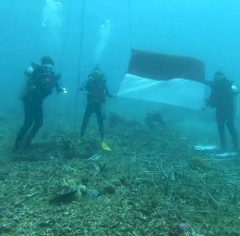 Peringati Detik-Detik Proklamasi, Personel Yon C Pelopor Bone Kibarkan Merah Putih di Dalam Laut