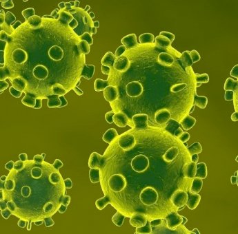 Satgas COVID-19 Luwu Utara Optimistis Segera Masuk Zona Kuning