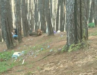 Ulah Pengunjung Nakal, Hutan Pinus Bulu Tanah di Bone kotor Bersampah