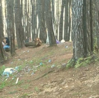 Ulah Pengunjung Nakal, Hutan Pinus Bulu Tanah di Bone kotor Bersampah