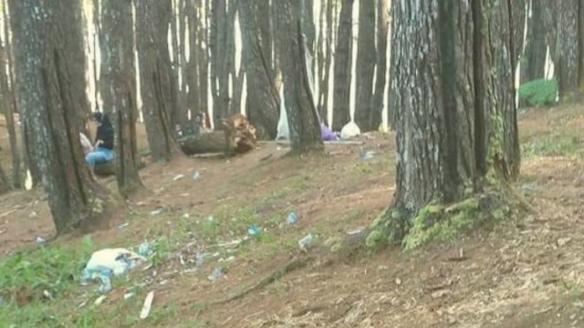 Ulah Pengunjung Nakal, Hutan Pinus Bulu Tanah di Bone kotor Bersampah