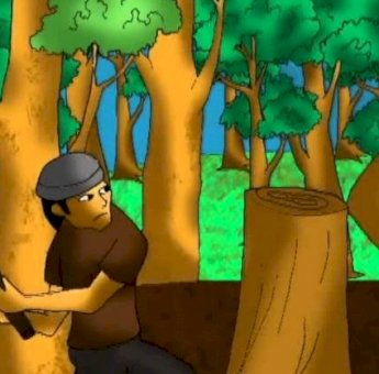 Polhut Selidiki Dugaan Penebang Pohon di Hutan Lindung Soppeng