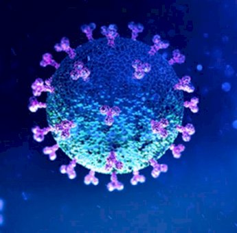 Update Covid-19 Sultra, 19 September 2020: Kasus Positif Bertambah 56 dan 1 Meninggal