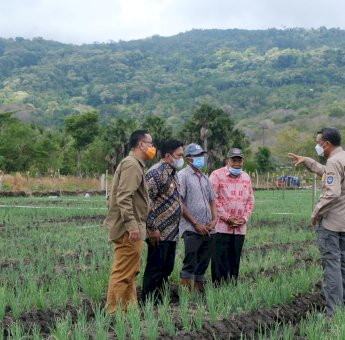 Nurdin Abdullah Kunjungi Pusat Budidaya Bawang Merah di Selayar