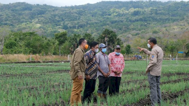 Nurdin Abdullah Kunjungi Pusat Budidaya Bawang Merah di Selayar