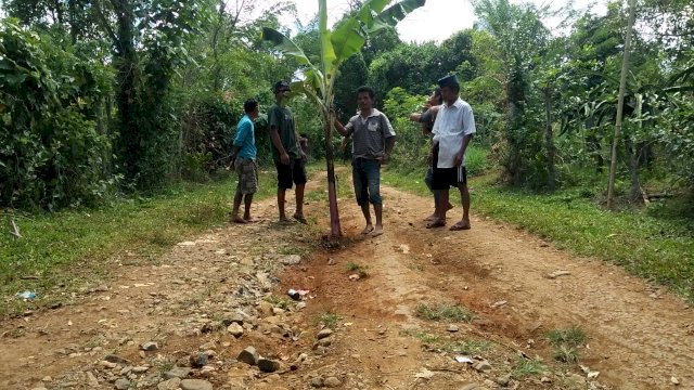 Protes Akses Jalan Tak Kunjung Diperbaiki, Warga Sinjai Tanam Pohon Pisang di Tengah Jalan