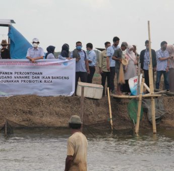 Pacu Produksi Budidaya, BRPBAPPP Maros Kembangkan Inovasi Teknologi
