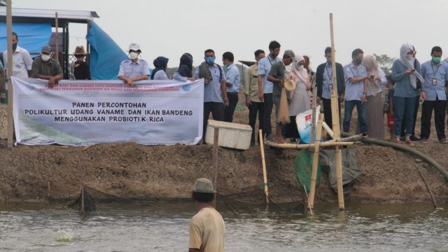 Pacu Produksi Budidaya, BRPBAPPP Maros Kembangkan Inovasi Teknologi