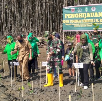1.000 Pohon Bakau Ditanam di Pantai Hubat Sinjai