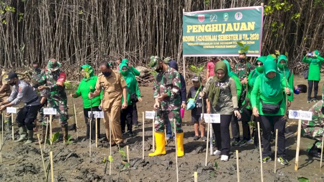 1.000 Pohon Bakau Ditanam di Pantai Hubat Sinjai