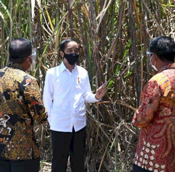 Resmikan Pabrik Gula di Bombana, Joko Widodo: Lapangan Kerja Bisa Terbuka