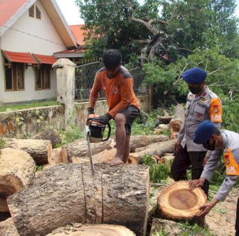 Sigap! Brimob Batalyon C Pelopor Polda Sulsel Bersama BPBD Bone Evakuasi Pohon Tumbang