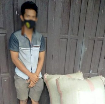 Jawab Keresahan Masyarakat, Polisi Tangkap Terduga Pencuri Gabah di Soppeng